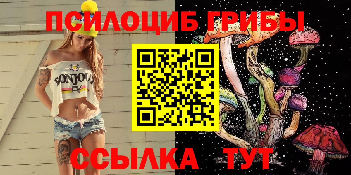 Галлюциногенные грибы Psilocybe  Галлюциногенные грибы MAGIC MUSHROOMS  Вход с VPN  Сегежа 