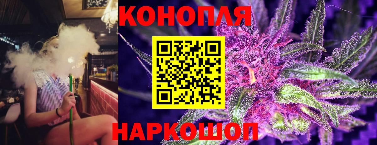 Канабис план Сегежа